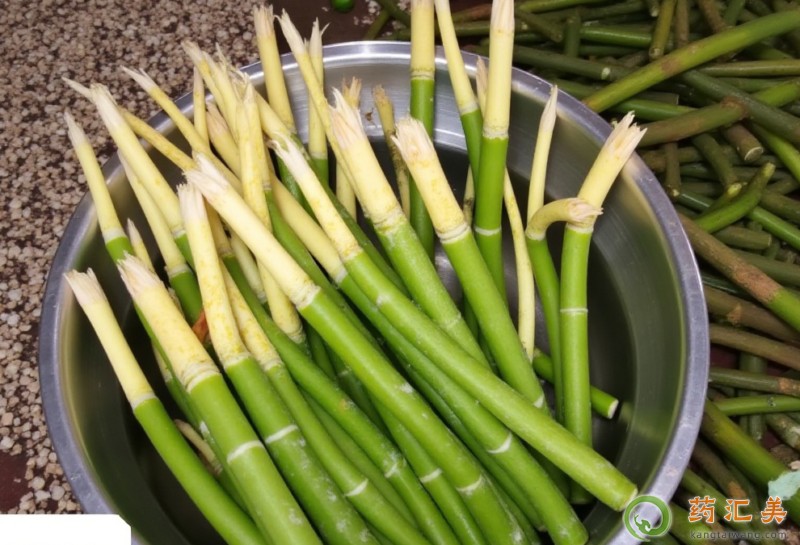 竹筍的作用與功效