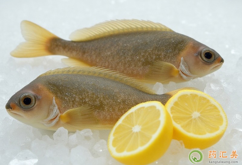 胰腺炎恢復(fù)期可以吃比目魚(yú)嗎 胰腺炎恢復(fù)期可以吃比目魚(yú)嗎