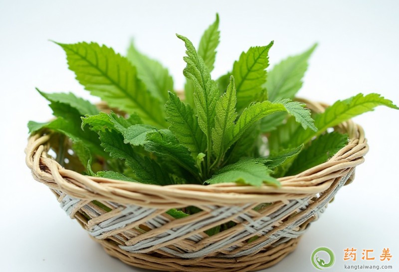 失眠可以吃白鳳菜嗎 失眠可以吃白鳳菜嗎