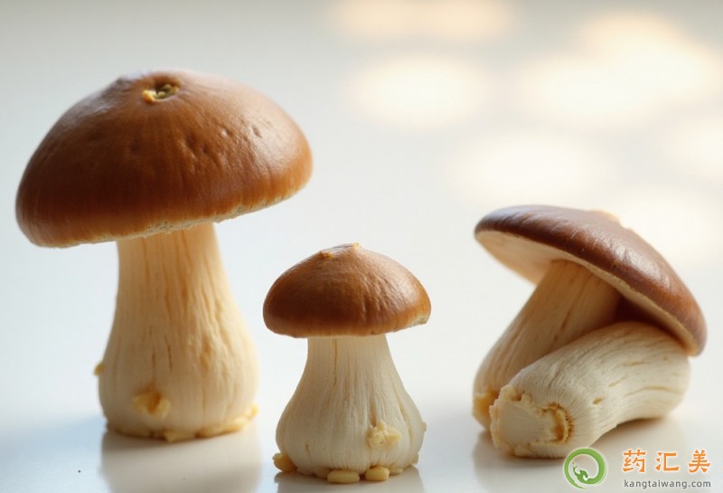 失眠可以吃白牛肝菌嗎 失眠可以吃白牛肝菌嗎