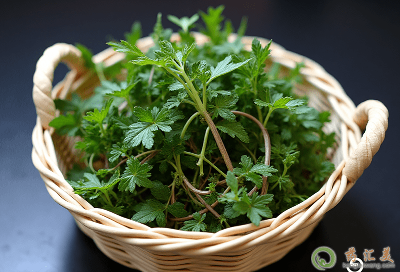 膽結(jié)石可以吃薺菜 膽結(jié)石可以吃薺菜