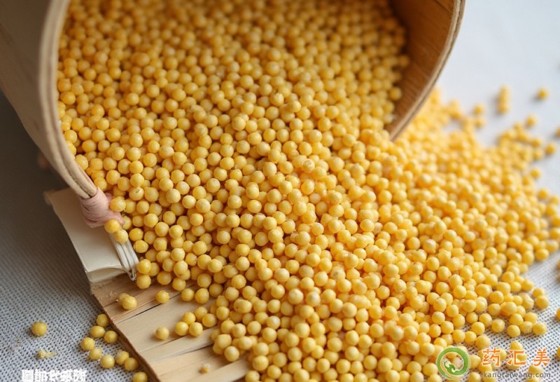 小米的營養(yǎng)價(jià)值 小米的營養(yǎng)價(jià)值