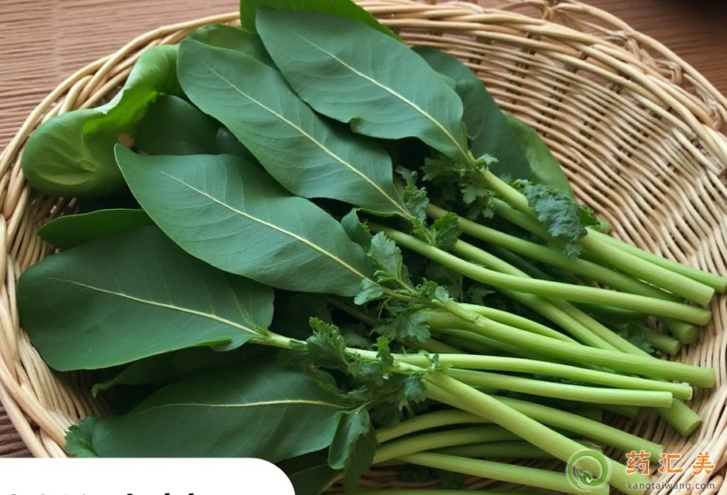 菠菜的功效與作用 菠菜的功效與作用