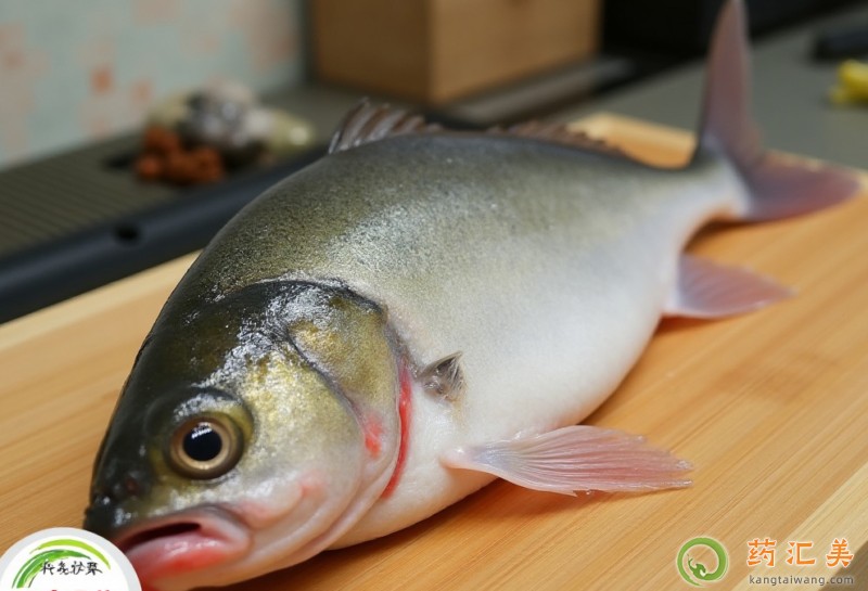 胰腺炎恢復期可以吃鰱魚嗎 胰腺炎恢復期可以吃鰱魚嗎