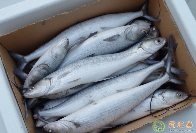 帶魚的營養(yǎng)價值 帶魚的營養(yǎng)價值