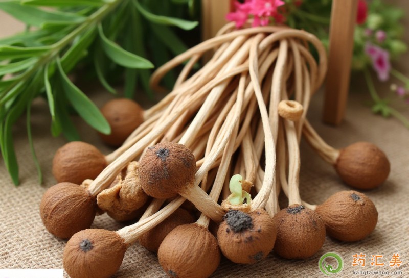 胰腺炎能吃茶樹菇嗎 胰腺炎能吃茶樹菇嗎