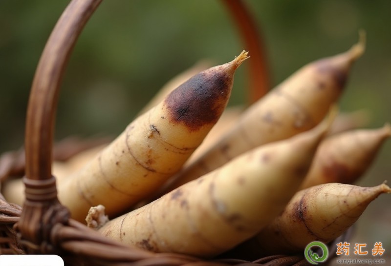 胰腺炎能吃春筍嗎 胰腺炎能吃春筍嗎