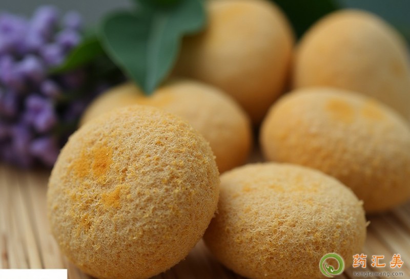 胰腺炎能吃猴頭菇嗎 胰腺炎能吃猴頭菇嗎