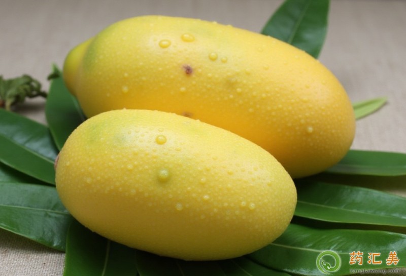 胰腺炎能吃金煌芒嗎 胰腺炎能吃金煌芒嗎