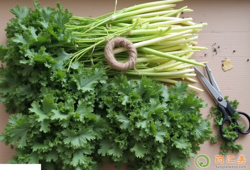 膽結(jié)石能吃雪里蕻嗎 膽結(jié)石能吃雪里蕻嗎