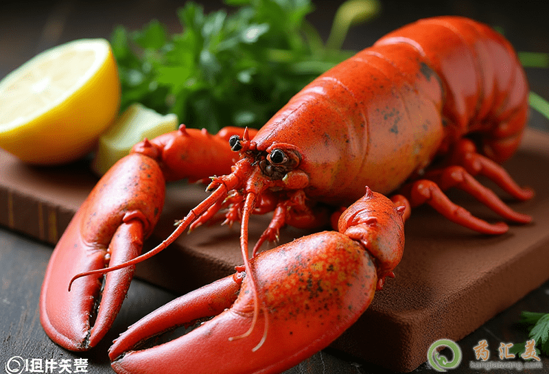 龍蝦的營養價值 龍蝦的營養價值