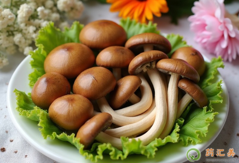 高血壓可以吃茶樹菇