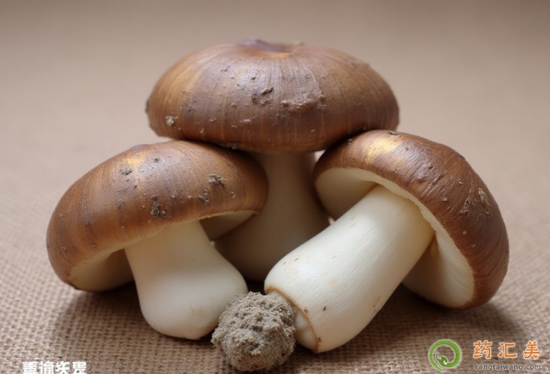 草菇不能和什么食物一起吃 草菇不能和什么食物一起吃