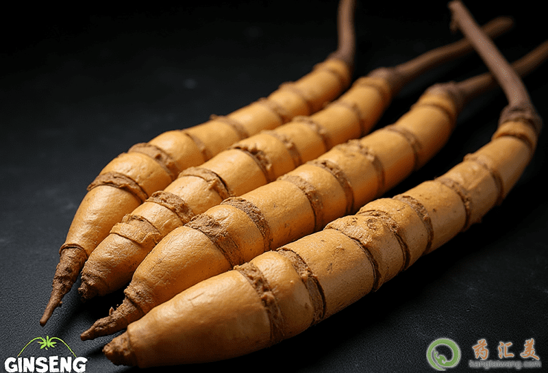 養生滋補買這些 養生滋補買這些