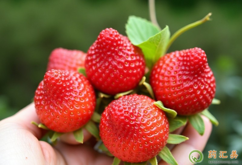 蛇莓能生吃嗎 蛇莓能生吃嗎