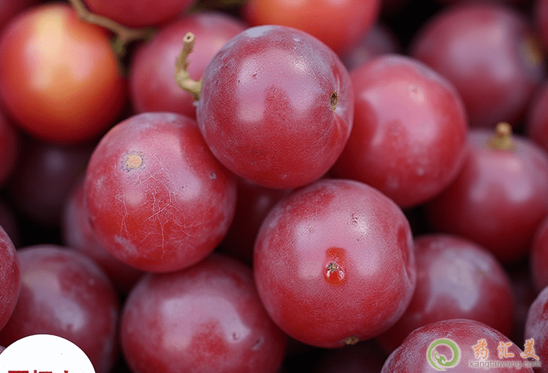 秋天吃這些水果好 qq截圖20201215195758.png