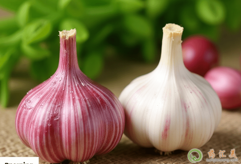 不適宜吃大蒜的人群 不適宜吃大蒜的人群