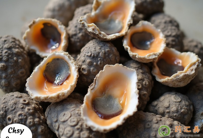 吃海螺有什么好處 吃海螺有什么好處